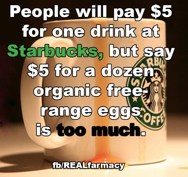 7b77cf92-ecbc-4884-8176-b7449ba43cc8