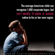 930ffc9d-d02d-4a4d-9a23-47749e30bb89