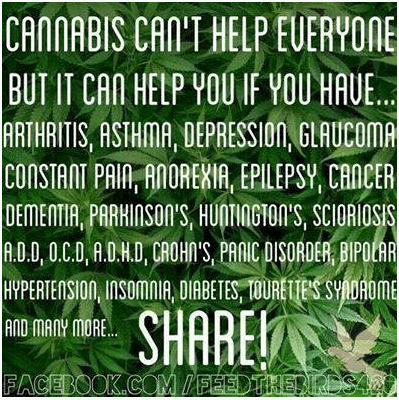 Screen Shot 2015-07-07 at 2.46.53 PM