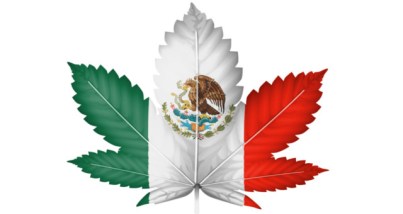 Mexico-Cannabis-1.jpg