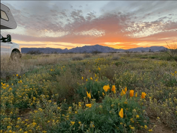 Screen Shot 2020-04-05 at 9.05.40 PM