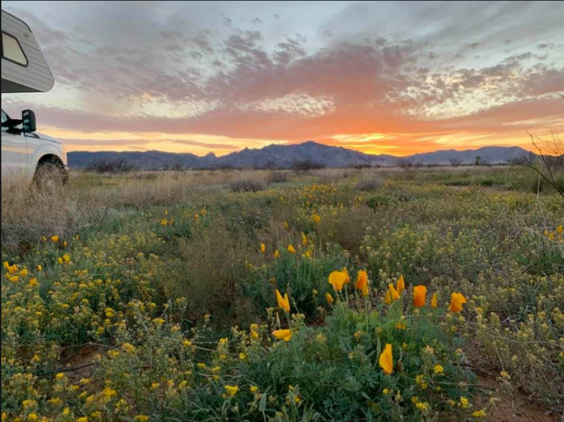 Screen Shot 2020-04-05 at 9.05.40 PM